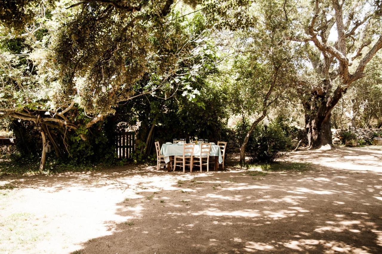 Agriturismo Casteddu Padru Eksteriør billede