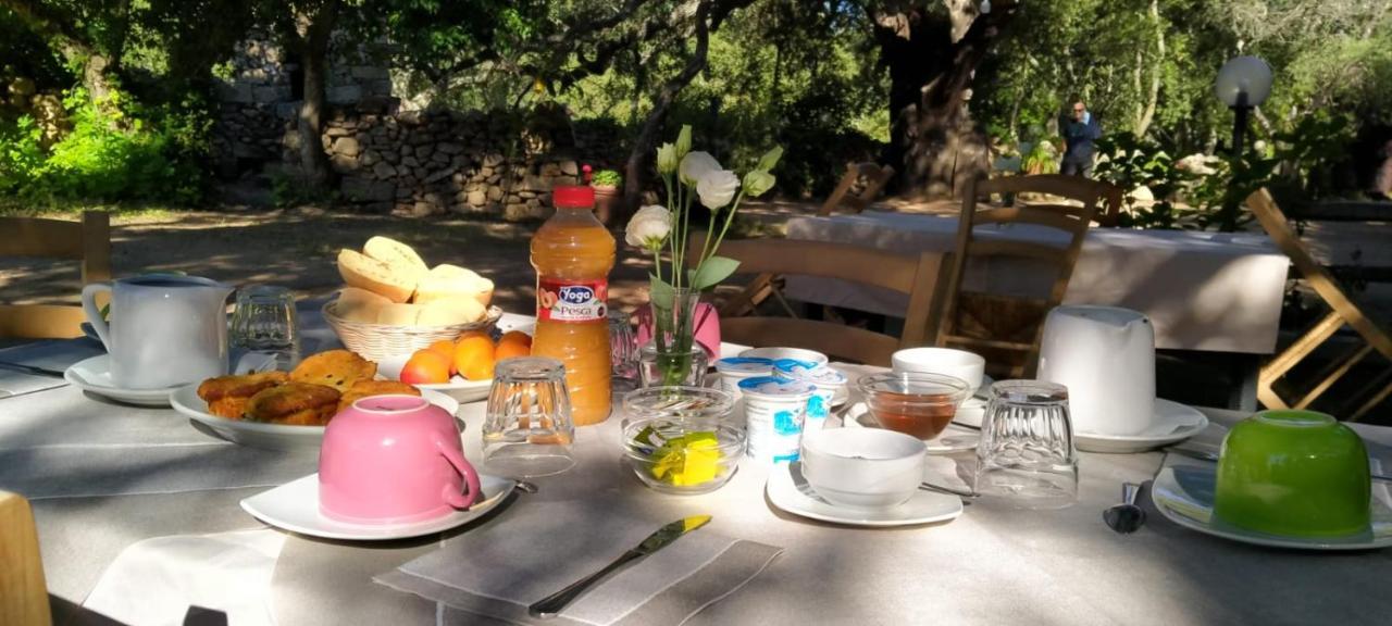 Agriturismo Casteddu Padru Eksteriør billede