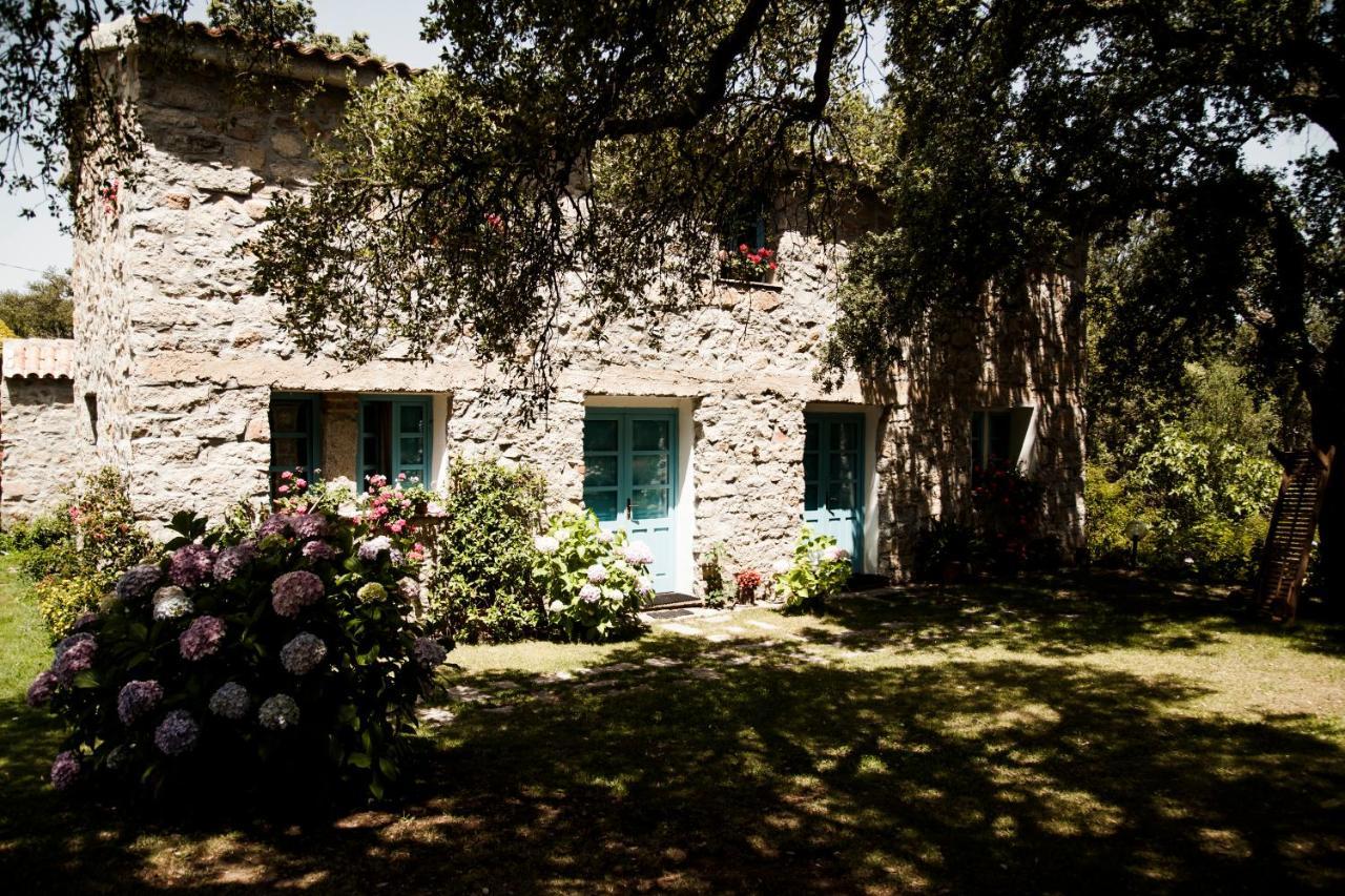 Agriturismo Casteddu Padru Eksteriør billede