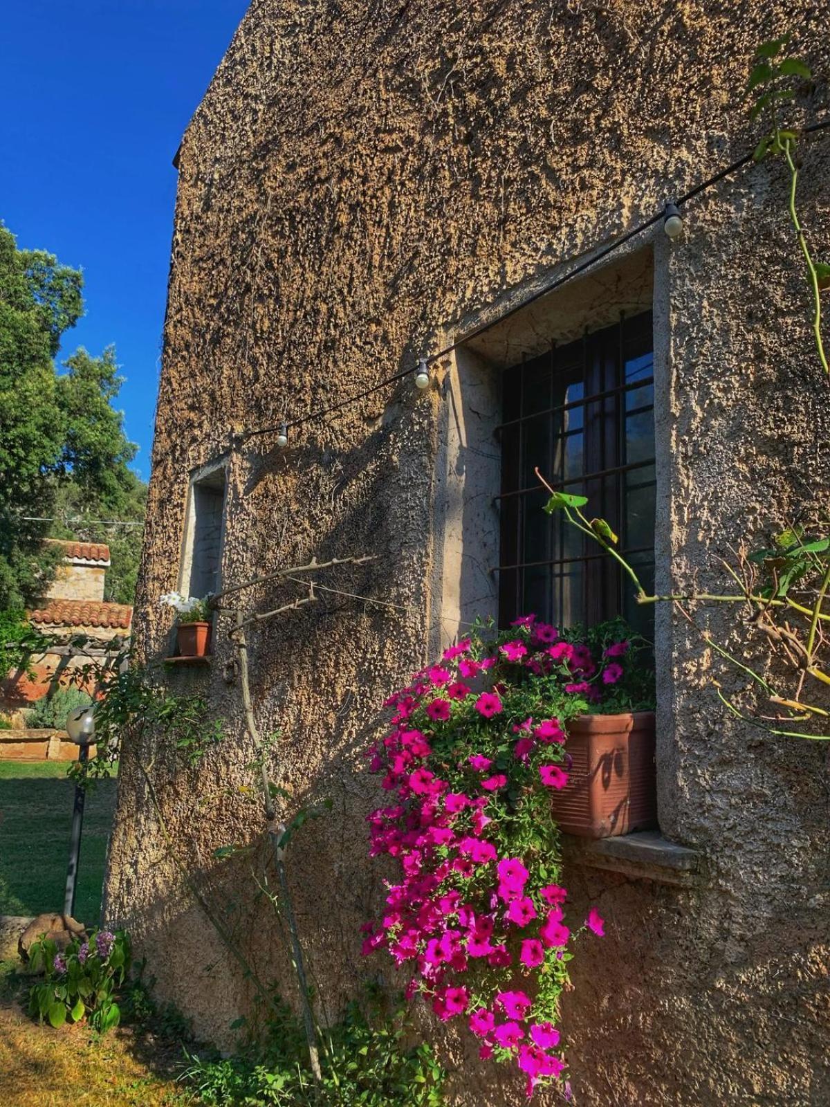 Agriturismo Casteddu Padru Eksteriør billede