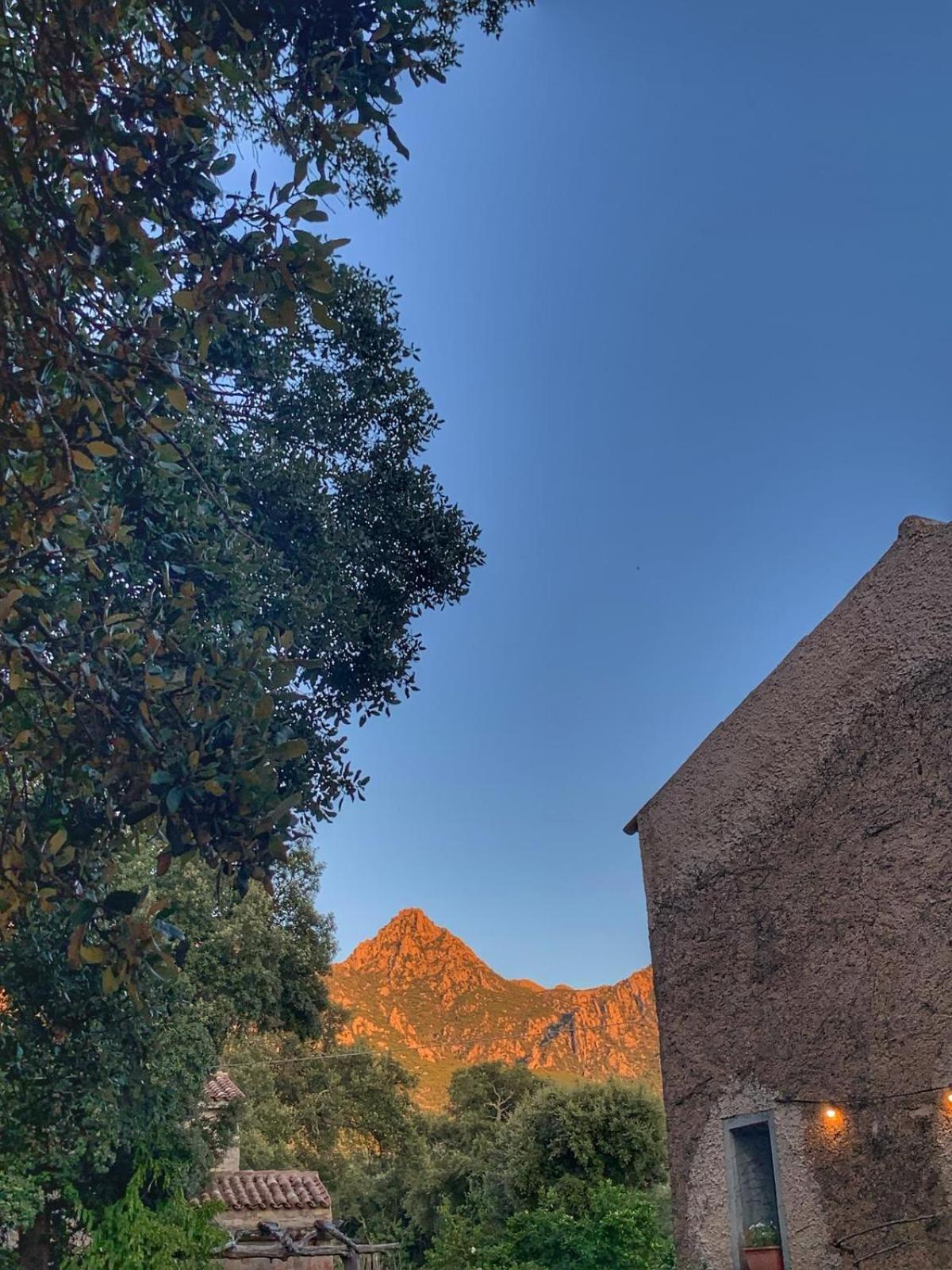 Agriturismo Casteddu Padru Eksteriør billede