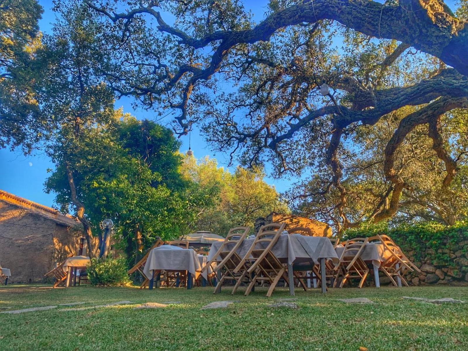 Agriturismo Casteddu Padru Eksteriør billede